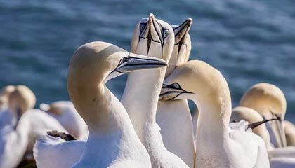 关于黑料吃瓜网吃瓜爆料的“爆料” · 最大的坑就在这一句 · 复盘给你看