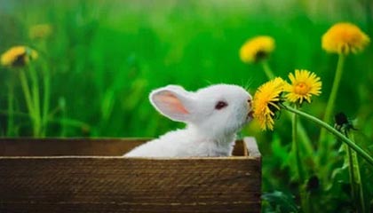 业内人士在傍晚时刻遭遇爆料 炸裂，蘑菇影视在线观看全网炸锅，详情围观