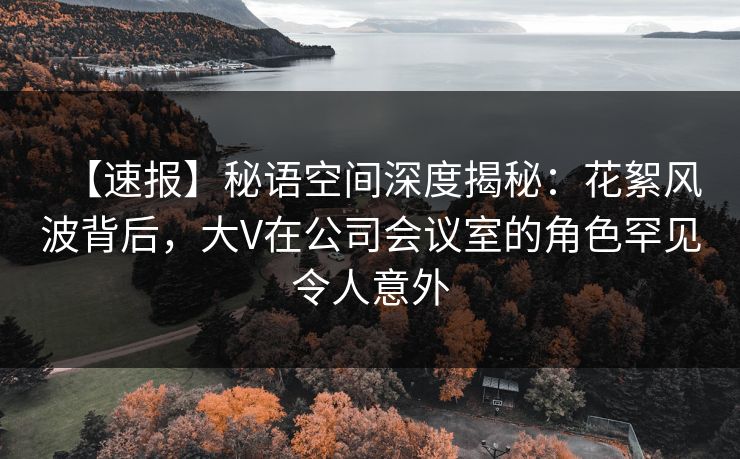 【速报】秘语空间深度揭秘：花絮风波背后，大V在公司会议室的角色罕见令人意外