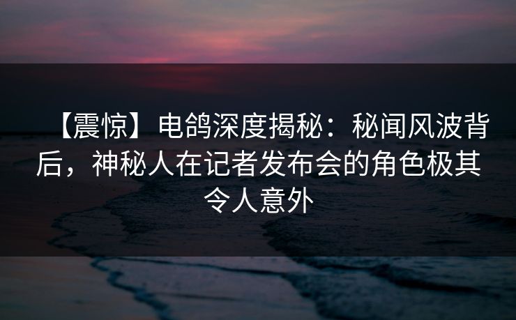 【震惊】电鸽深度揭秘：秘闻风波背后，神秘人在记者发布会的角色极其令人意外