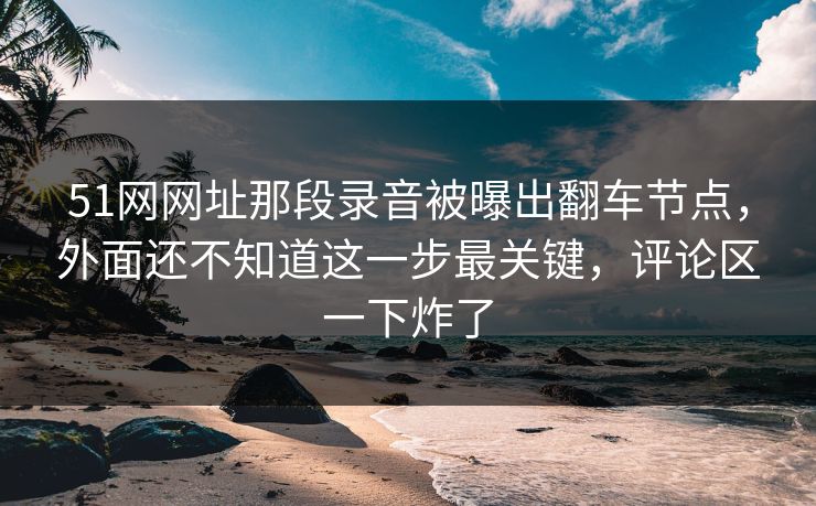 51网网址那段录音被曝出翻车节点，外面还不知道这一步最关键，评论区一下炸了