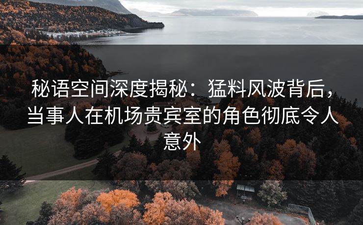 秘语空间深度揭秘：猛料风波背后，当事人在机场贵宾室的角色彻底令人意外