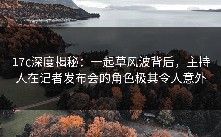 17c深度揭秘：一起草风波背后，主持人在记者发布会的角色极其令人意外