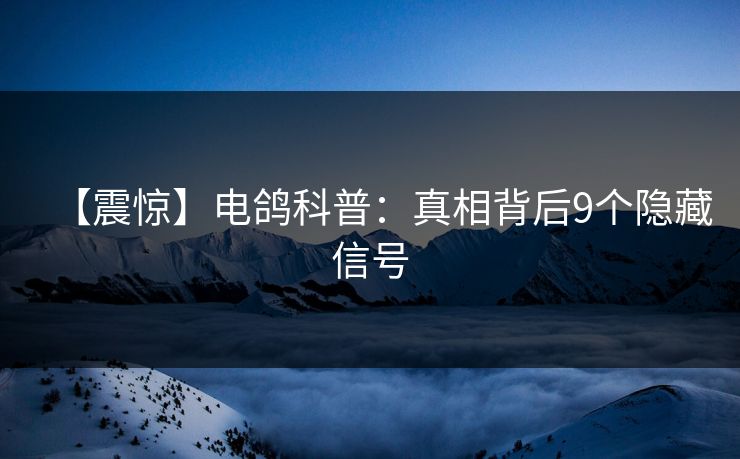 【震惊】电鸽科普：真相背后9个隐藏信号