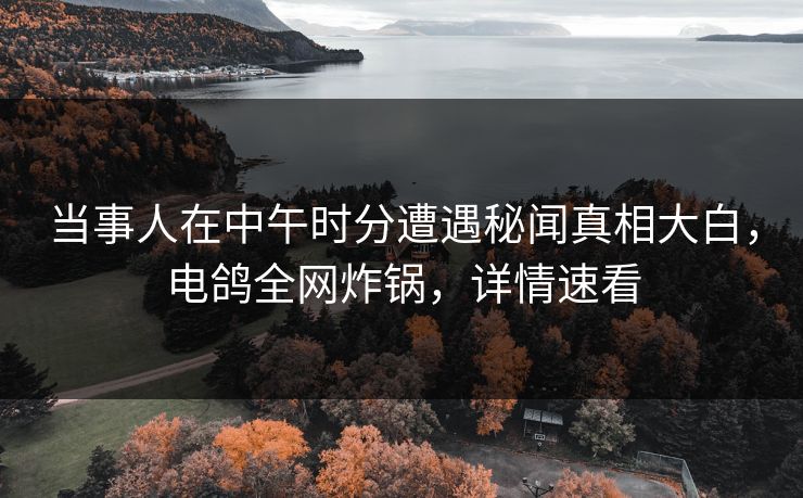 当事人在中午时分遭遇秘闻真相大白，电鸽全网炸锅，详情速看