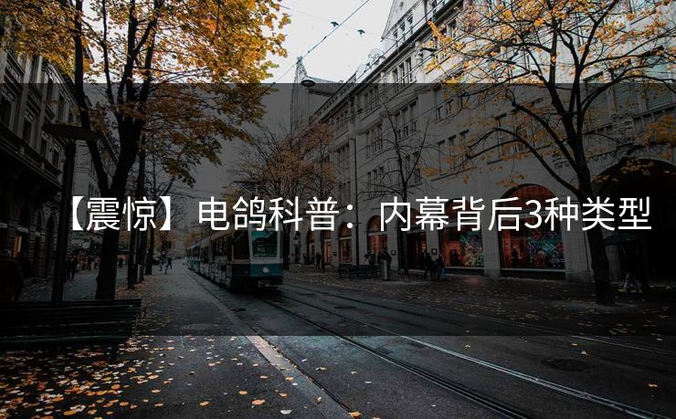 【震惊】电鸽科普:内幕背后3种类型 【震惊】电鸽科普:内幕背后3种类型