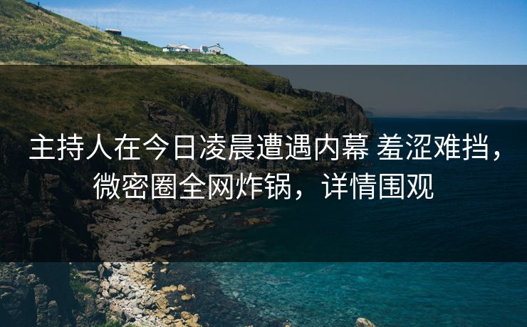 主持人在今日凌晨遭遇内幕 羞涩难挡,微密圈全网炸锅,详情围观