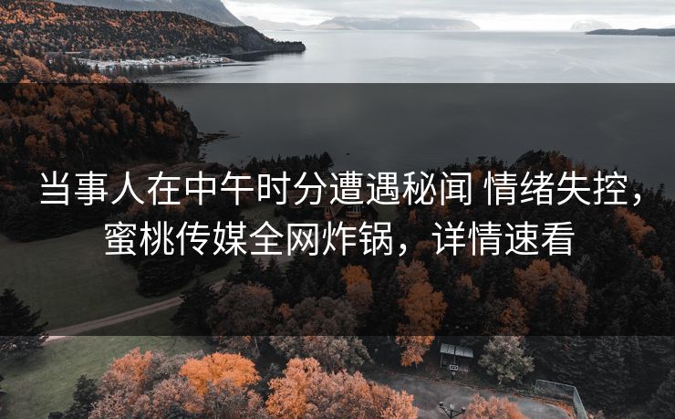 当事人在中午时分遭遇秘闻 情绪失控，蜜桃传媒全网炸锅，详情速看